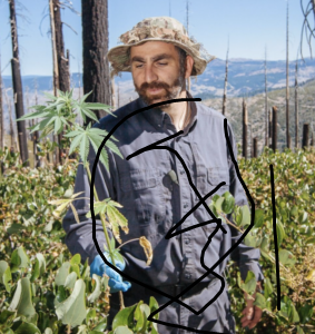01marijuana