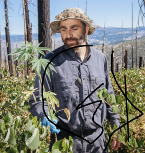 03marijuana